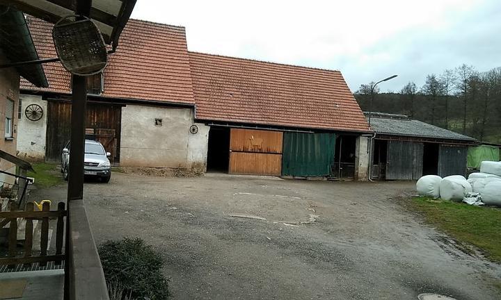 Gasthaus zum Grünen Baum